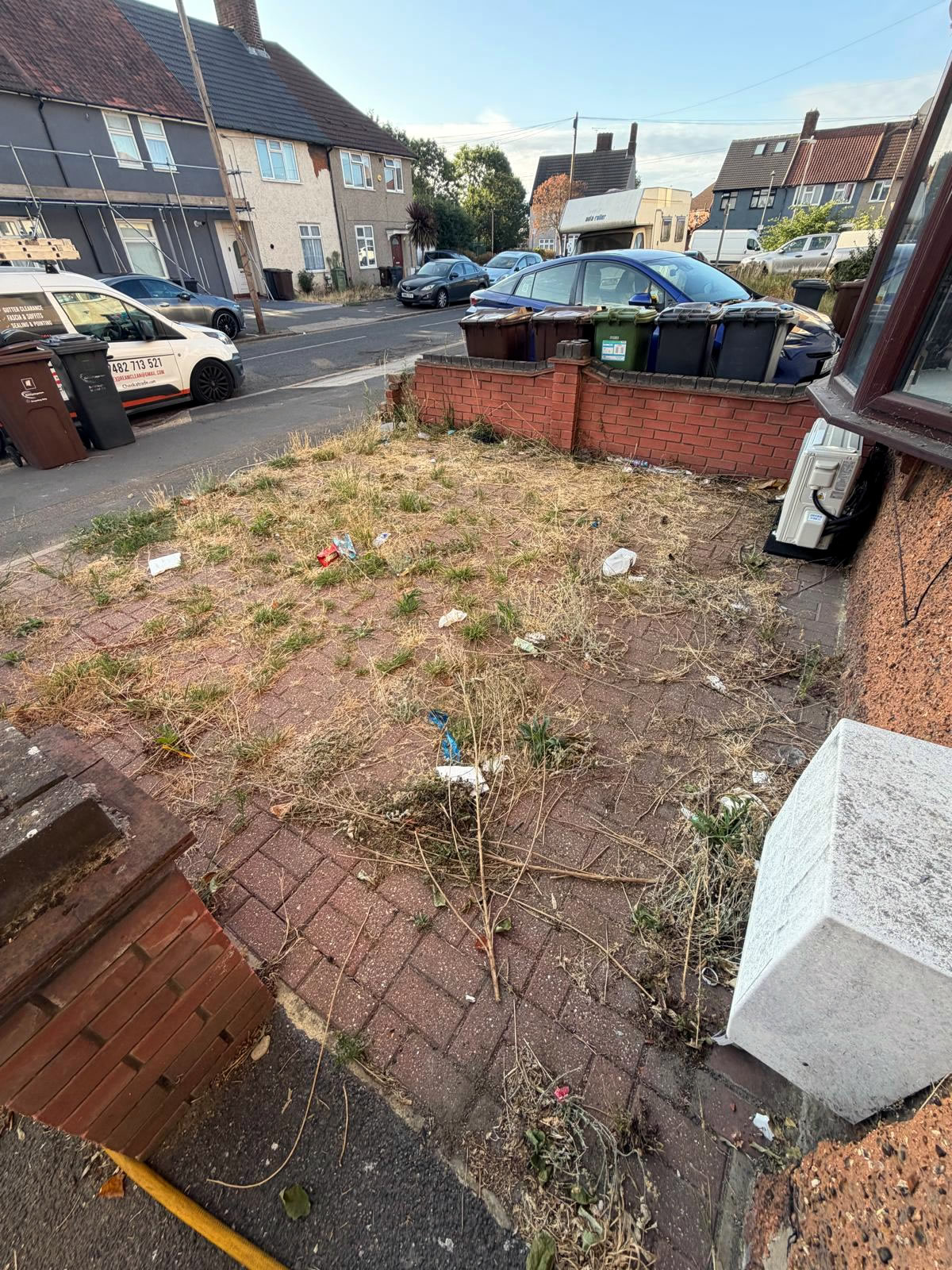 Exterior wall before cleaning
