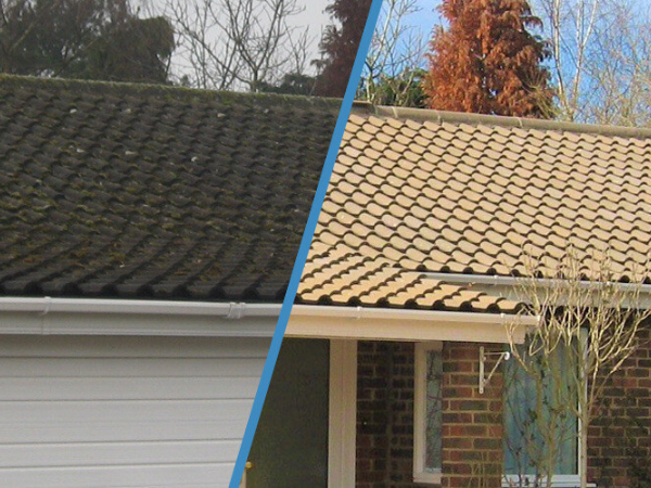 Roof Cleaning & Moss Removal Services Essex (1)