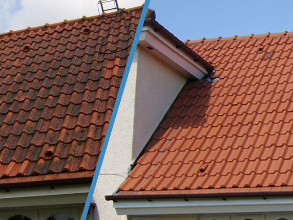 Roof Cleaning & Moss Removal Services Essex (3)