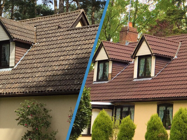 Roof Cleaning & Moss Removal Services Essex