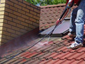 Roof Cleaning