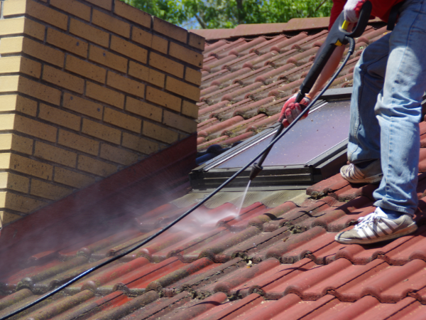 Roof Cleaning in Maldon