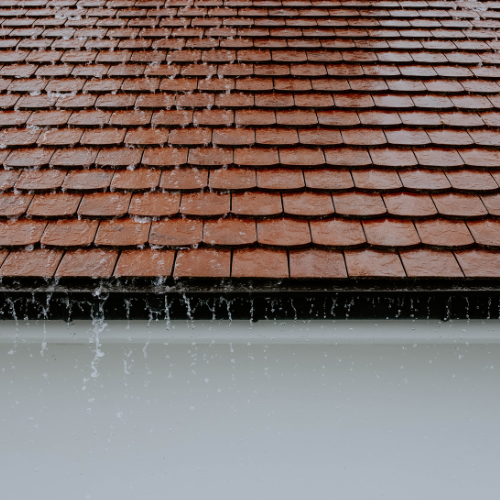 roof cleaning essex