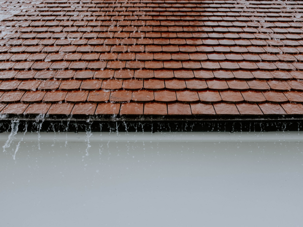 Roof Cleaning in Maldon
