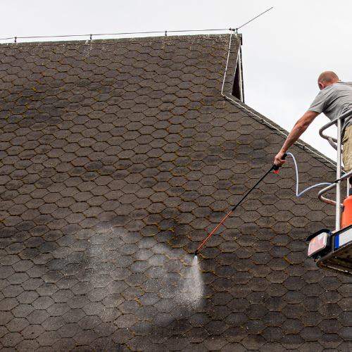 professional moss cleaners