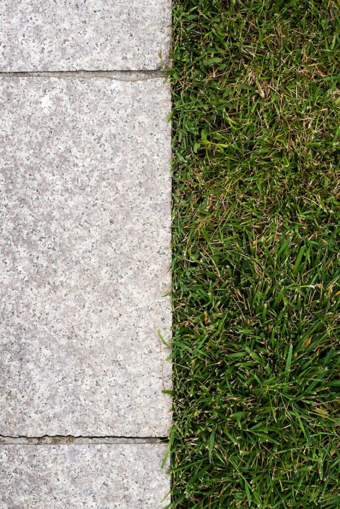 Driveway and Patio Moss