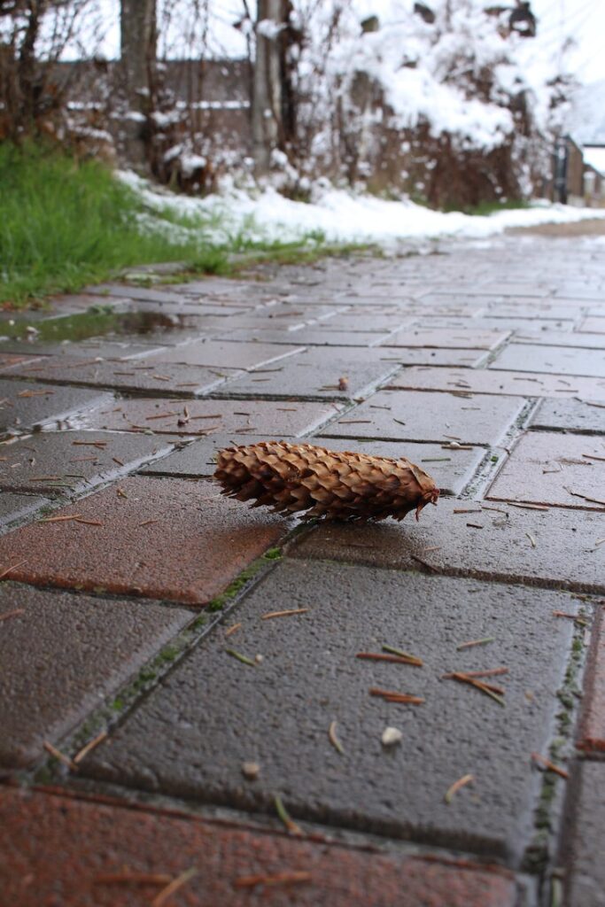 Brick Driveway Cleaning Essex